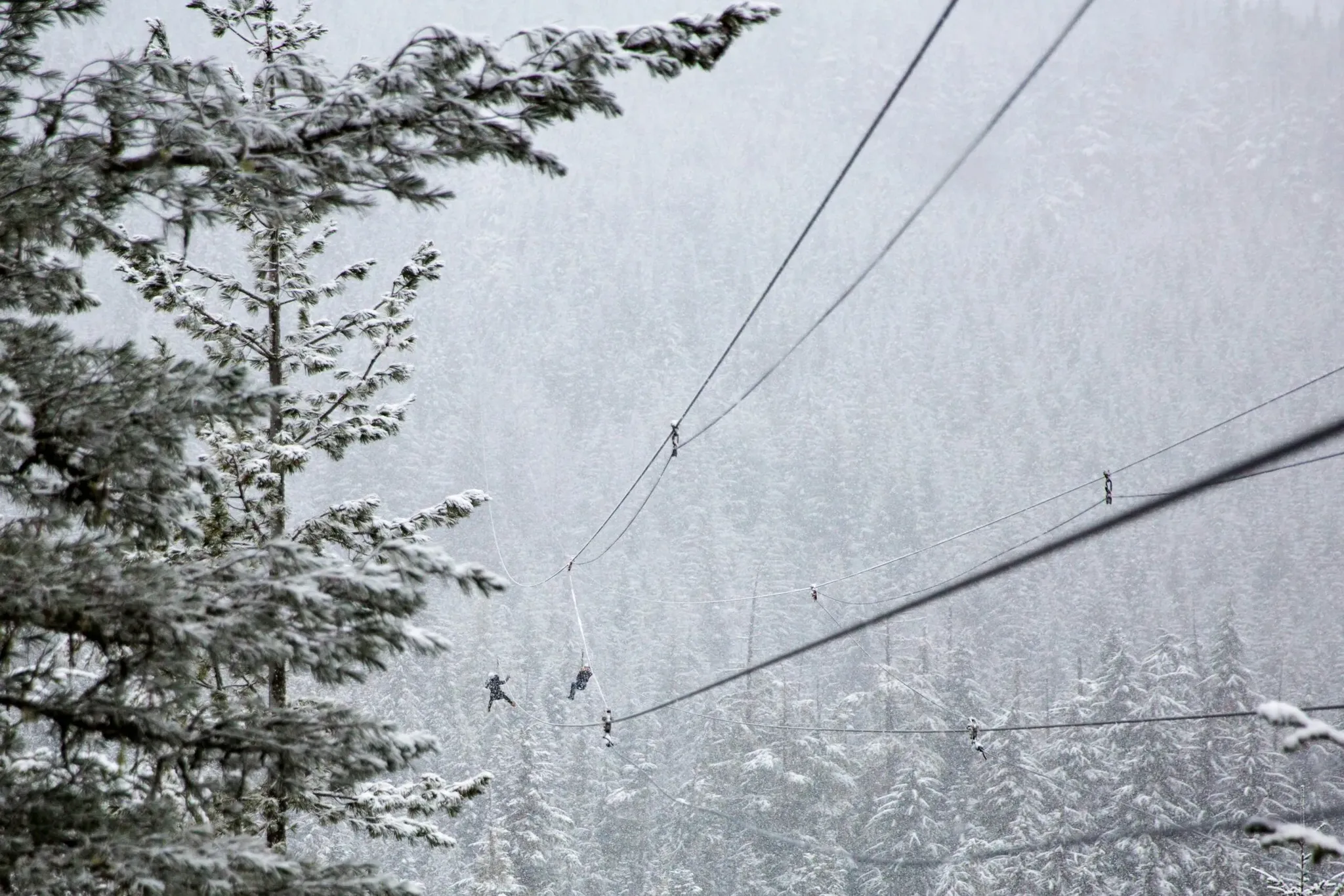 snowy breckenridge zipline adventures
